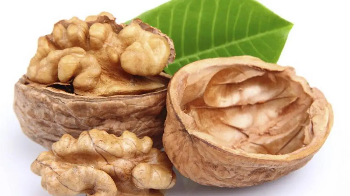 Walnuts can improve heart health and reduce cancer study The Hindu