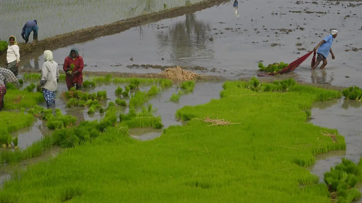 Telangana to promote natural farming in 61,125 acres