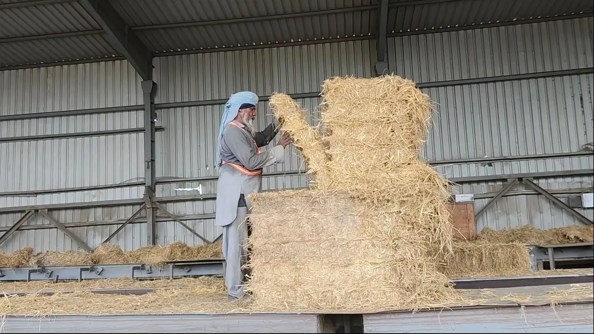 Can straw-fired power plants help end stubble burning?