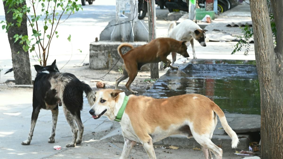 image name
