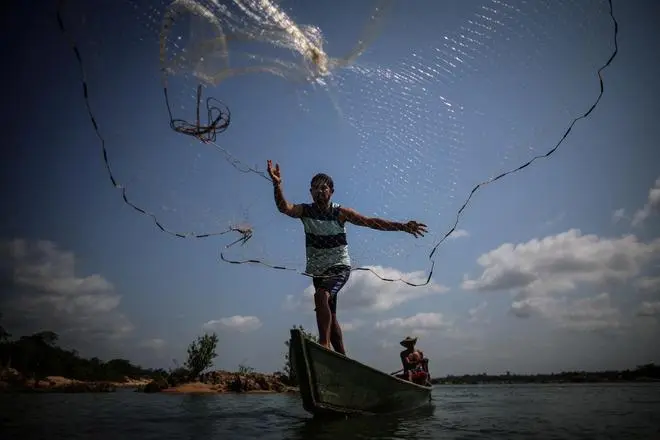 জেলেরা ভিলা দে ফ্রাঙ্কা, পেড্রাল ডো লরেনকোর কাছে ইলহা দা প্রাইয়া আলতার সম্প্রদায়ের টোকান্টিনস নদীতে মাছ ধরছেন, টোকান্টিন নদীর উপর একটি প্রাকৃতিক শিলা গঠন যা নোভা ইপিক্সুনা, প্যারা রাজ্য, ব্রাজিল, 025-25-2002-এর মধ্যে রপ্তানি করে নোভা ইপিক্সুনা-তে আরাগুইয়া-টোকান্টিন নদী পথ তৈরি করতে বিস্ফোরিত হতে পারে। বেসিন মিসিসিপি নদীর প্রতিদ্বন্দ্বী, মালবাহী খরচ কমানো এবং বিশ্বব্যাপী শস্য বাণিজ্যে ব্রাজিলের আধিপত্য জোরদার করা; কিন্তু ফেডারেল প্রসিকিউটররা প্রকল্পটি ব্লক করার চেষ্টা করছেন এবং নদীতীরবর্তী সম্প্রদায়ের উপর প্রভাব বিবেচনা করার জন্য আদালতকে অনুরোধ করছেন। 'আমরা আমাদের নৌকা ছাড়া কোথাও যেতে পারি না। আমরা মাছ থেকে বাঁচি,' বলেছেন ফ্রাঙ্কা, যার পরিবার 12 বছর বয়সে পাথরের বিপরীতে নদীর একটি দ্বীপে বসতি স্থাপন করেছিল।           