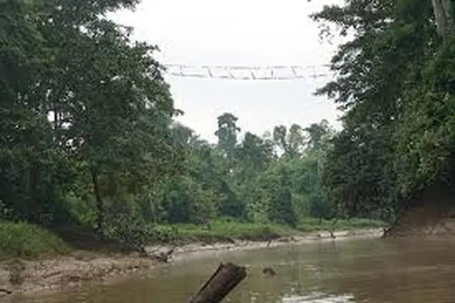 A view of the SPnCA with the Orangutan Bridge suspension