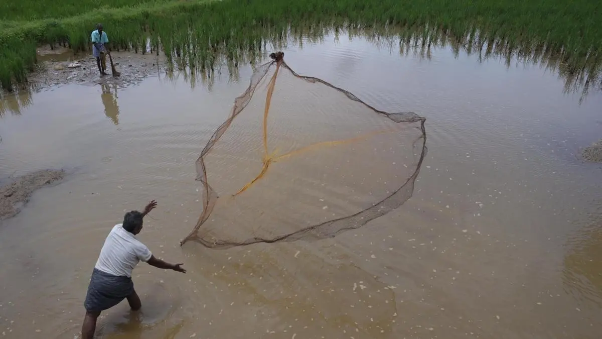 Hyderabad to host World Aquaculture India 2025 meet from Nov 11 to 13