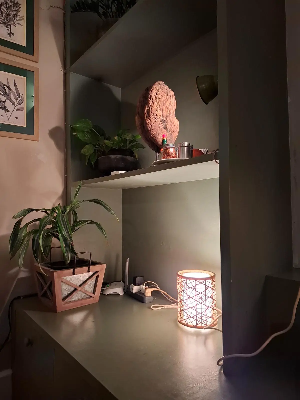 Samsung Galaxy A55 camera samples - The HinduBusinessLine