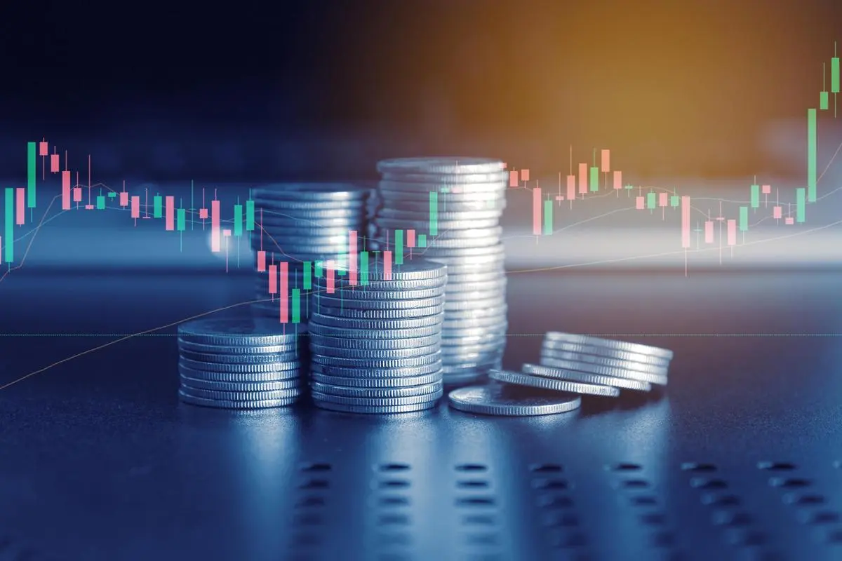 thehindubusinessline.com - Is the private credit boom going bust?