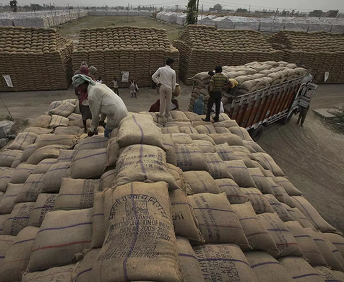 Labourers stacking bags of wheat at an open FCI godown at Sonepat in Haryana