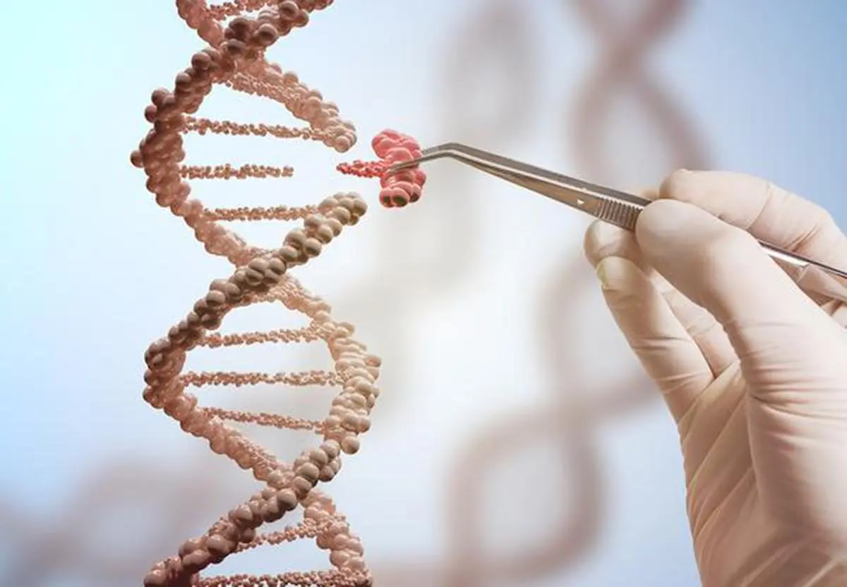 thehindubusinessline.com - Bengaluru's deep-tech startup proposes 'quantum' leap in cancer care