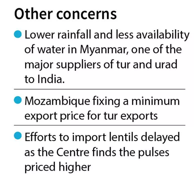 The pulse(s) pressure - The Hindu BusinessLine