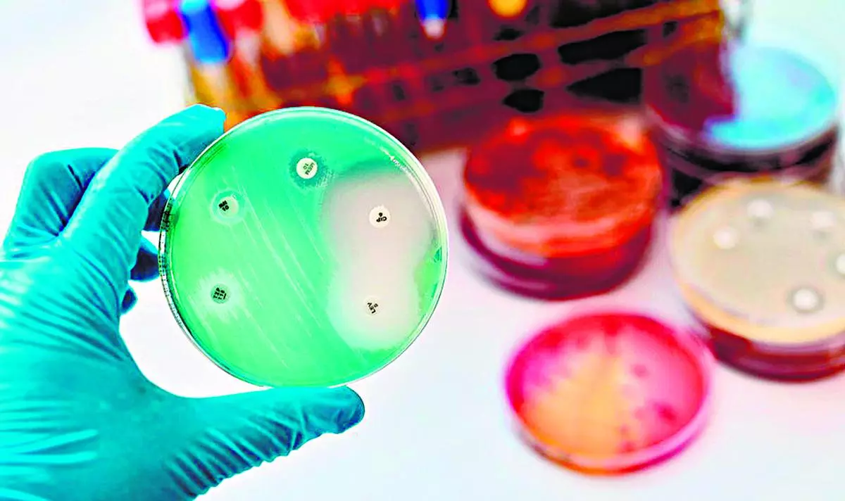 Antimicrobial resistance management presents a complex public policy problem