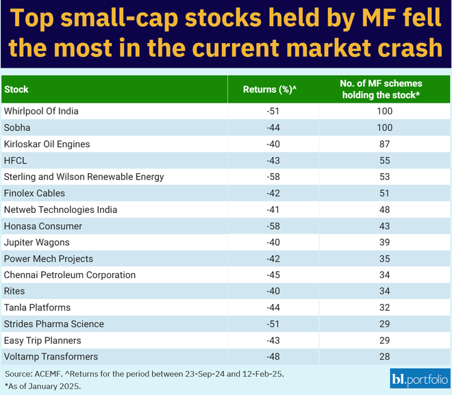 small-cap stocks held by MF fell the most in the current market crash