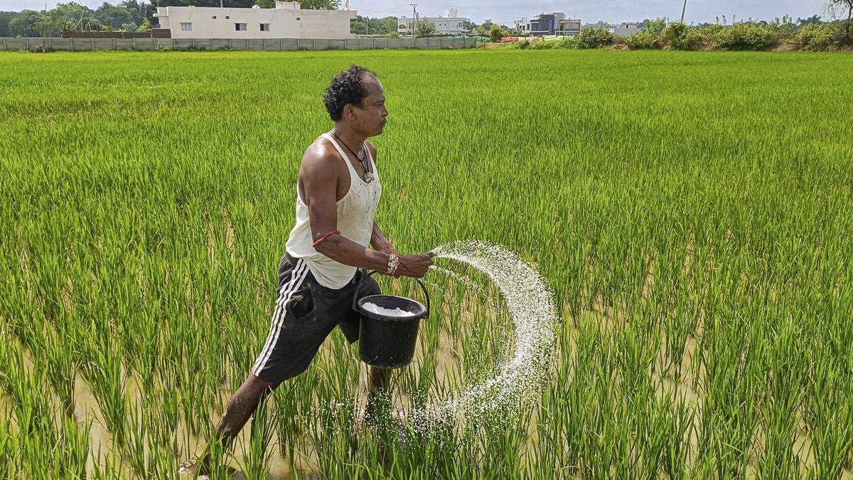 Government releases crop insurance installment to farmers affected by disasters