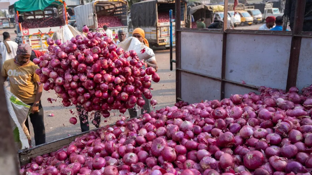 Govt plans big scale radiation processing of onions to prevent shortages The Hindu BusinessLine