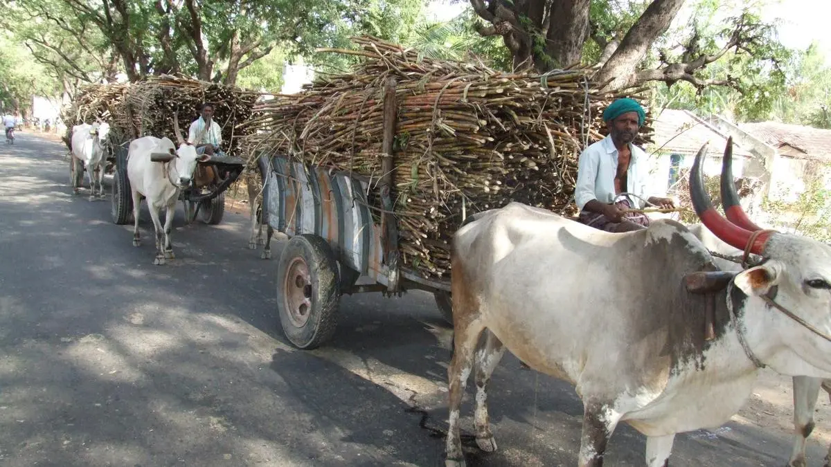 centre-extends-ethanol-subsidy-scheme-till-march-2023-the-hindu