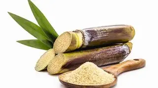 wooden spoon with unrefined raw cane sugar, demerara sugar, with sugar cane, isolated white background with copyspace wooden spoon with unrefined raw cane sugar, demerara sugar, with sugar cane, isolated white background with copyspace