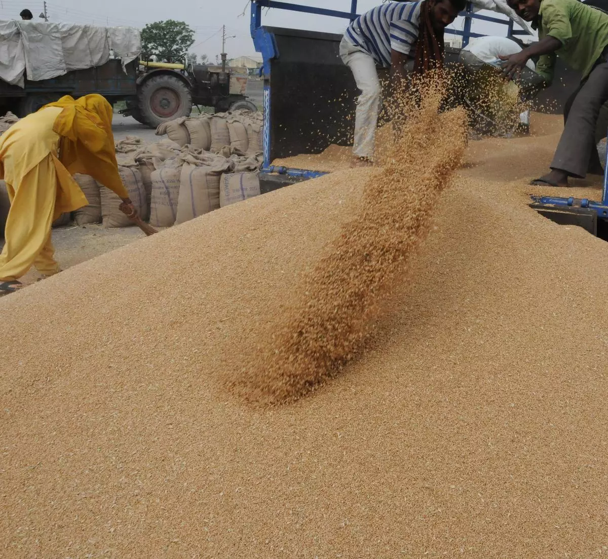 As on July 1, 2022, India’s stock of wheat stood at 28.51 mt against the buffer norm of 27.58 mt