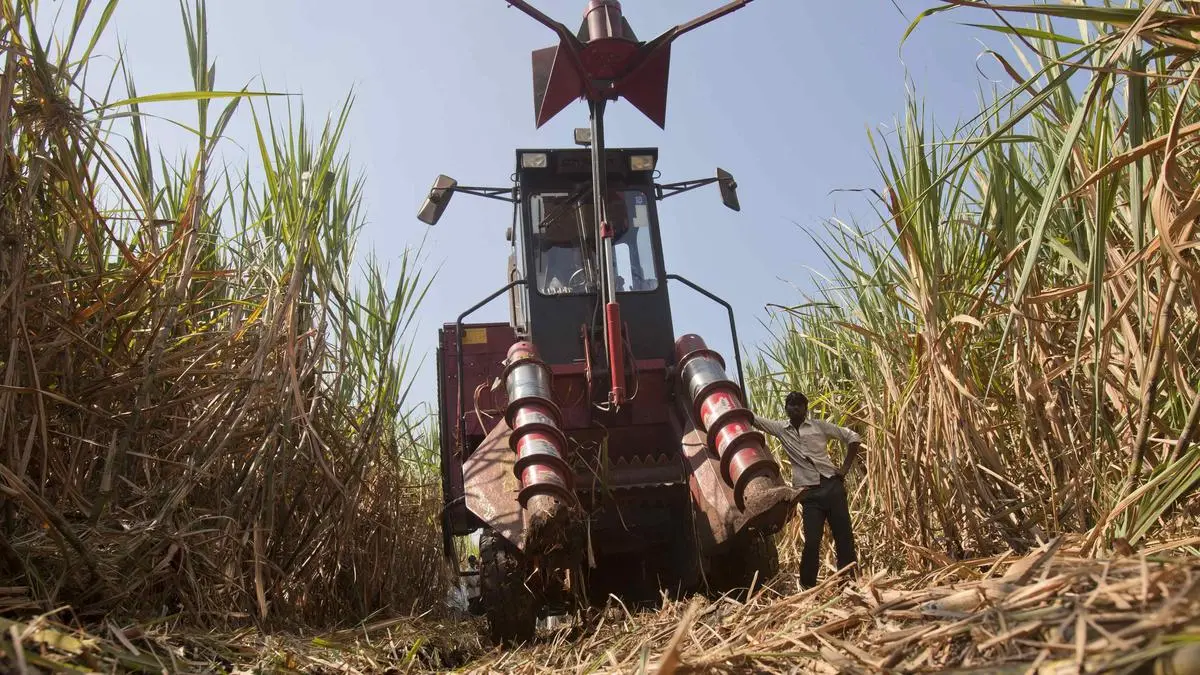 Mechanical harvesting of sugarcane is need of the hour, says ISMA The