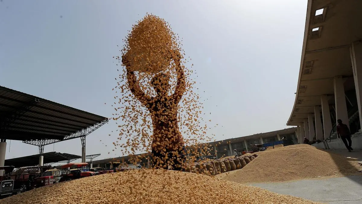 Wheat industry event at Chandigarh to focus on climate issues, consumption