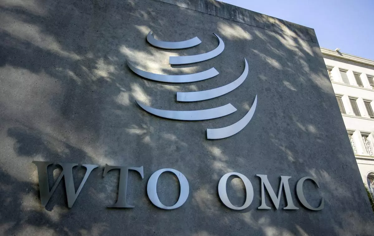 India, Egipto y Sudáfrica hacen hincapié en satisfacer las necesidades de los países en desarrollo en el proceso de reforma de la OMC