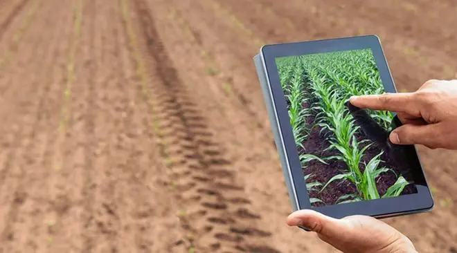 Smart agriculture. Farmer using tablet corn planting. Modern Agriculture concept. Smart agriculture. Farmer using tablet corn planting. Modern Agriculture concept.