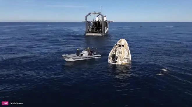 This image taken from video released by SpaceX shows dolphins swimming near a SpaceX capsule, Tuesday, March 18, 2025, after landing off the coast of Florida with NASA astronauts Suni Williams, Butch Wilmore and Nick Hague, and Russian cosmonaut Alexander Gorbunov. 