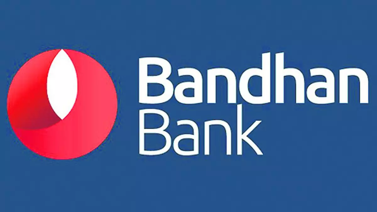 Bandhan Bank Q3 PAT Down 66% On Higher Provisioning - The Hindu ...