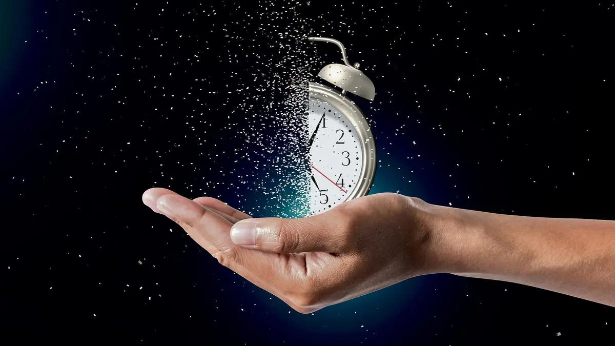 Basilic Fly Studio’s net profit doubles on new projects