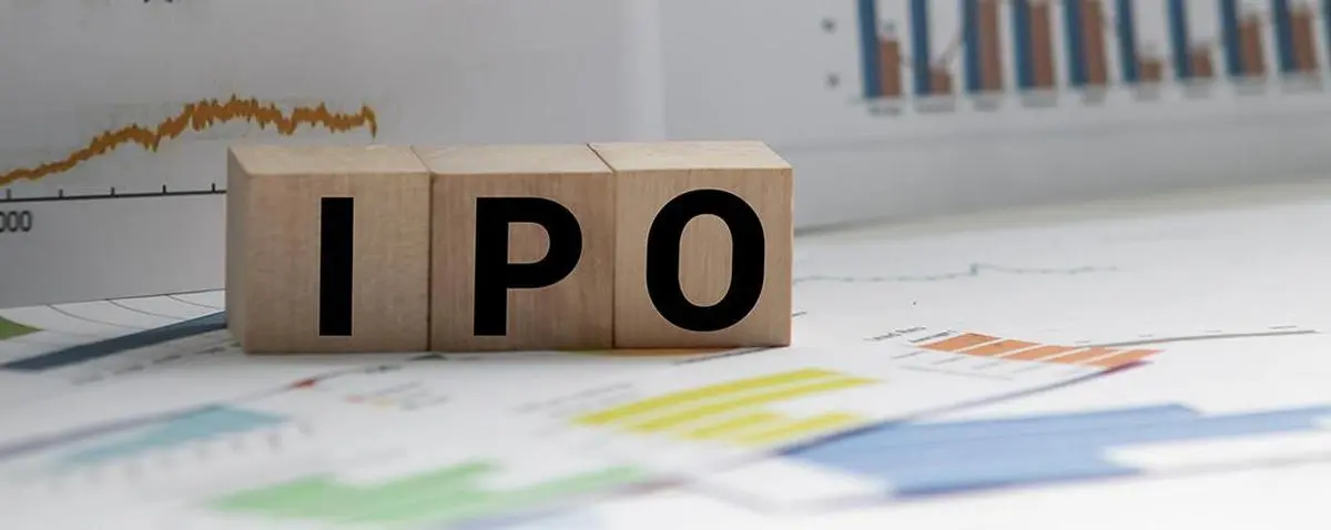 thehindubusinessline.com - Sudeep Pharma IPO opens at &#8377;563-593 price band