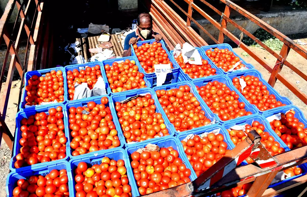 Tomato is the highest produced crop among vegetables