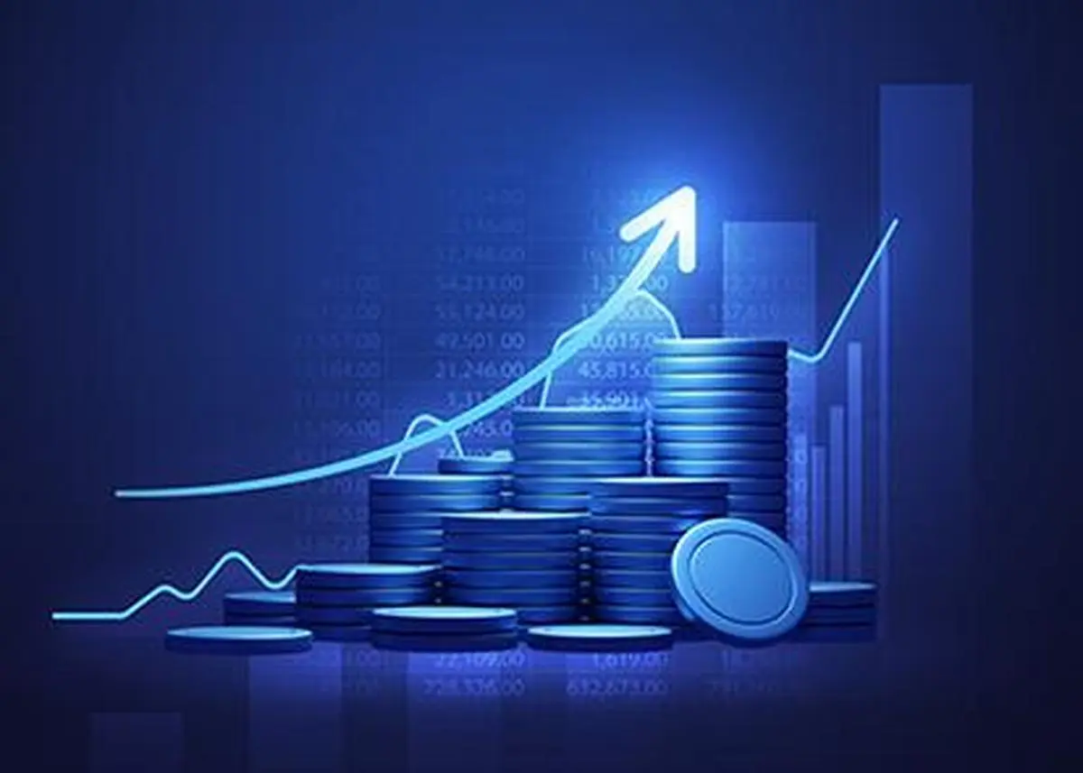 thehindubusinessline.com - India PE/VC funds tap domestic capital as global LPs grow selective