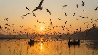 AERIAL FORCE. The region around a moving wing is physically complex, with strong vortices and sharp gradients