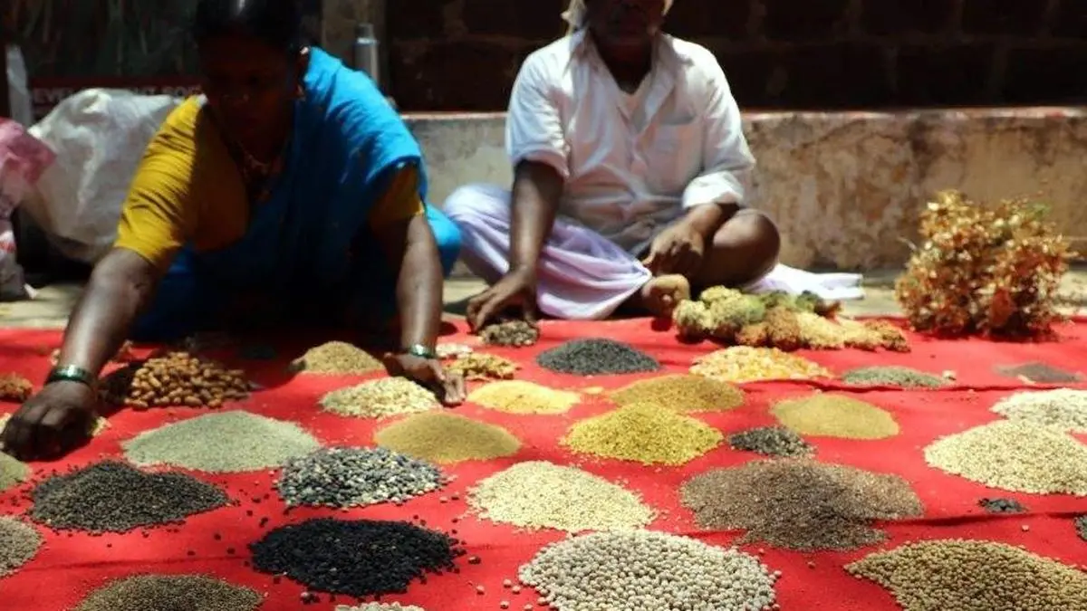 New Seed Bill charts a transformative path