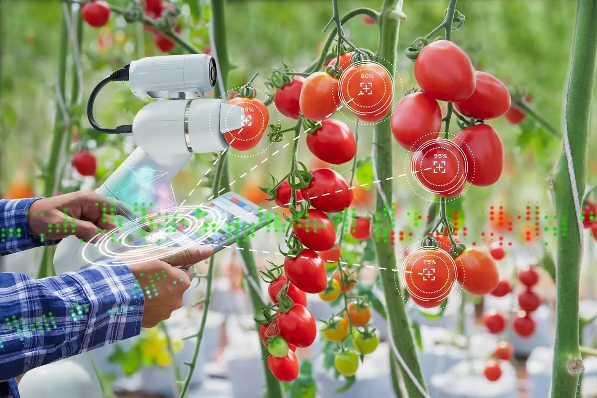 thehindubusinessline.com - From SMS crop alerts to autonomous farm intelligence