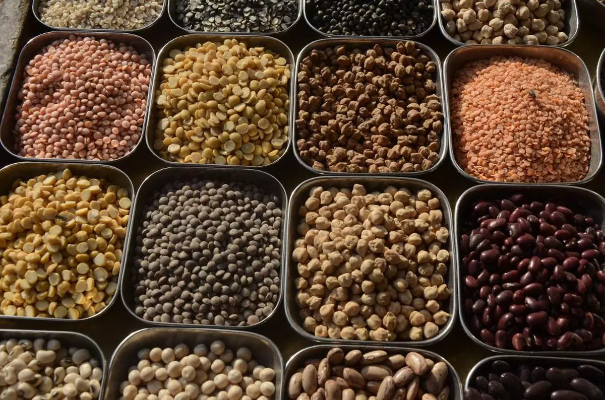 India faces heat over import curbs on pulses - The Hindu BusinessLine