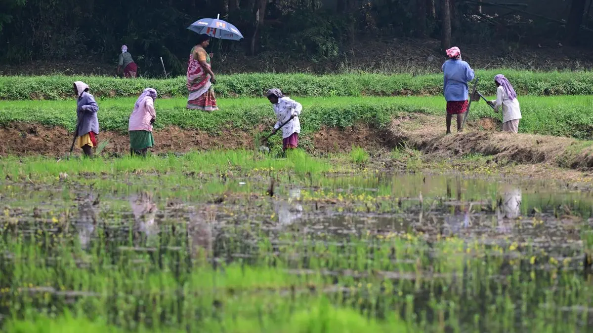 From conventional abilities to climate-smart practices: Agri-skilling for a resilient rural India