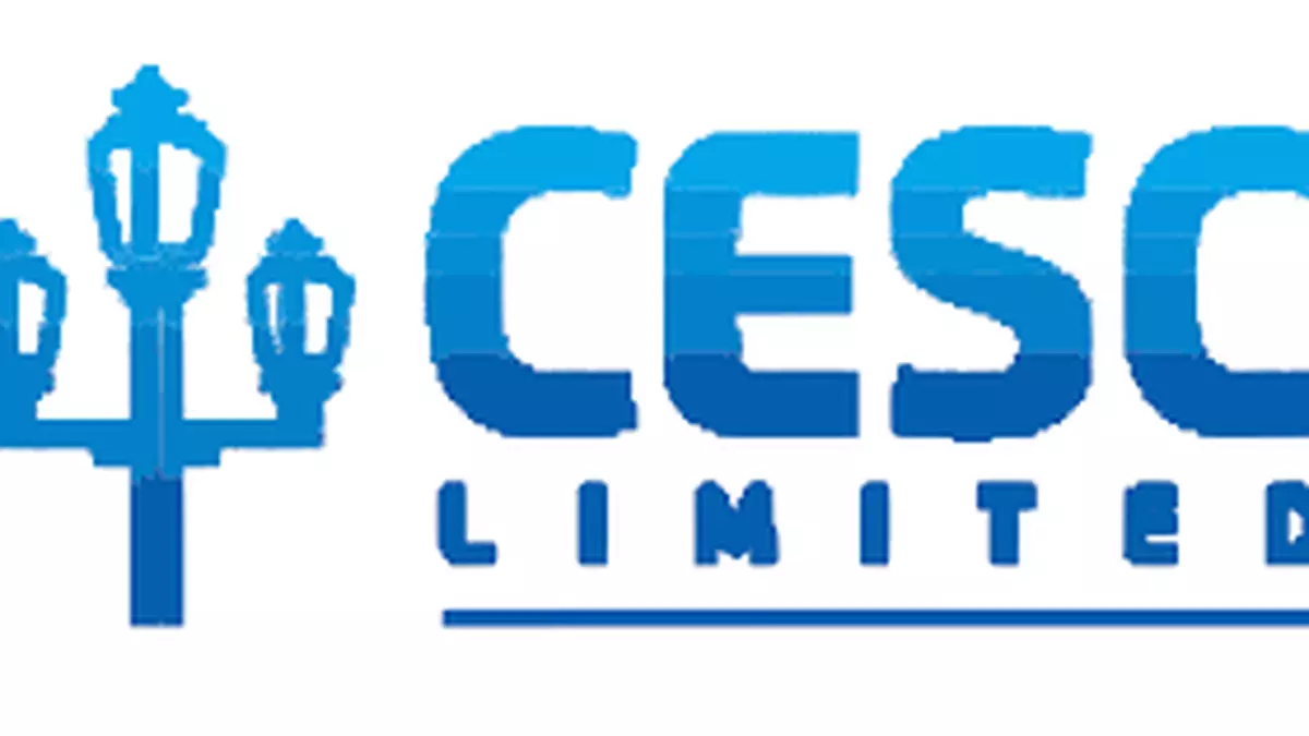 CESC shares trade higher on Crescent Power's acquisition of Purvah Green  Power