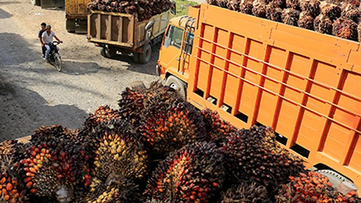 Godrej Agrovet partners SBI to extend finance to oil palm growers The