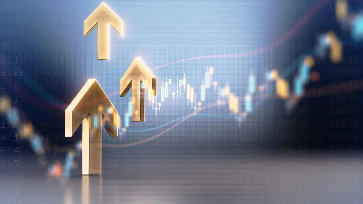 Elcid Investments Shares Soar After Special Auction