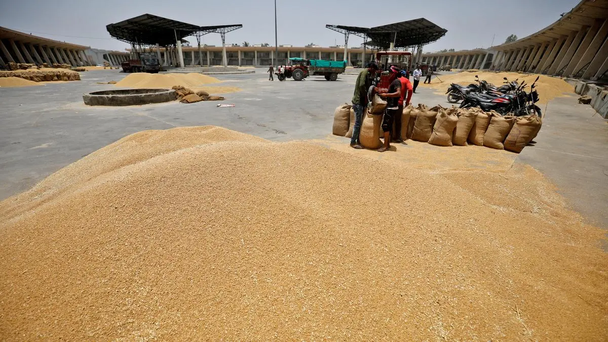 Wheat Prices Decline on Forecasted Rains in US Plains Amid Drought Conditions