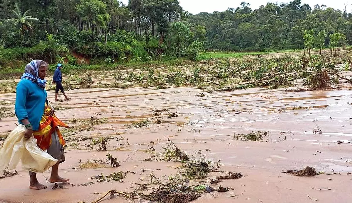 Officials are yet to carry out an assessment of the impact of excess rains in the coffee growing areas
