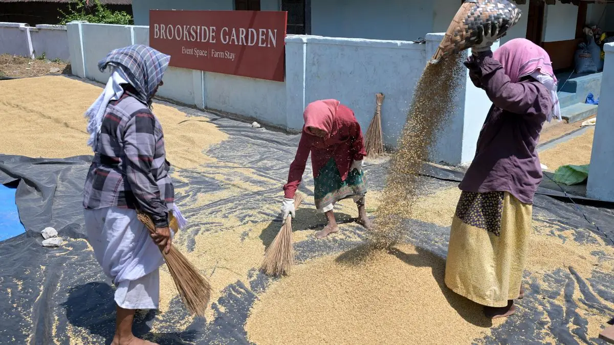Kerala to launch Women Farmers Consortium to transform agriculture sector, boost rural economy