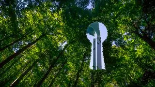Smoke Stacks of a Factory or Power Station Hidden Behind a Green Forest istock photo for BL