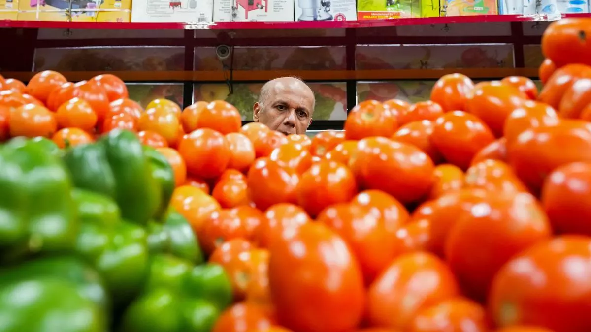 Tomato retail prices down by 22.4% due to improved supplies