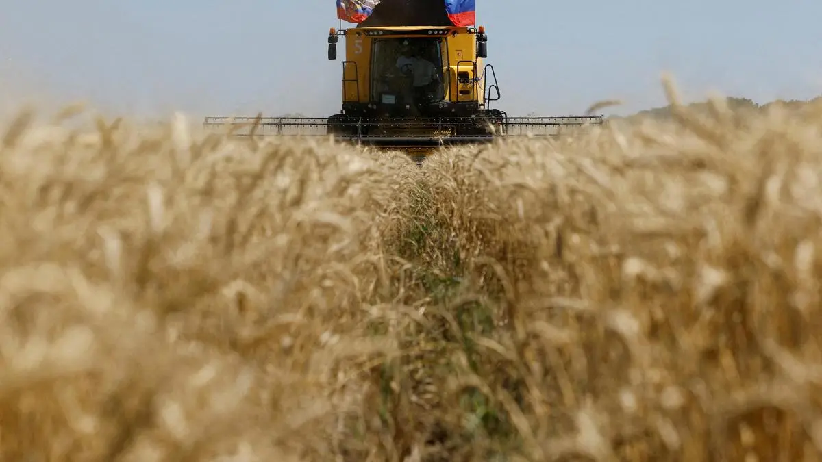 India resumes wheat exports after four-year hiatus; ITC loading 22,000 tonnes to UAE