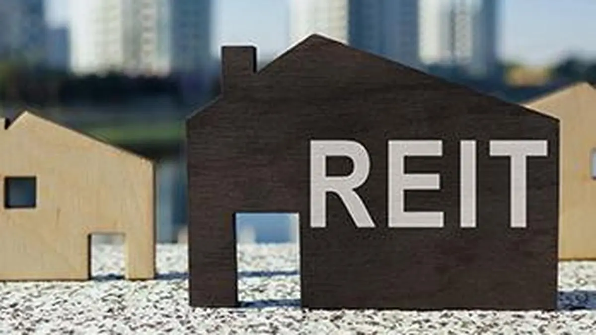 Brookfield India REIT commercial property with tenants