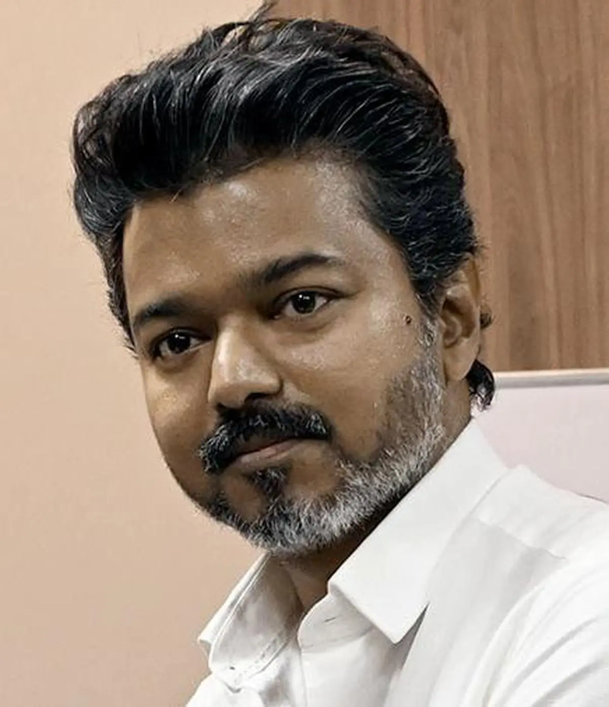 thehindubusinessline.com - How political startup TVK won so big and so quickly