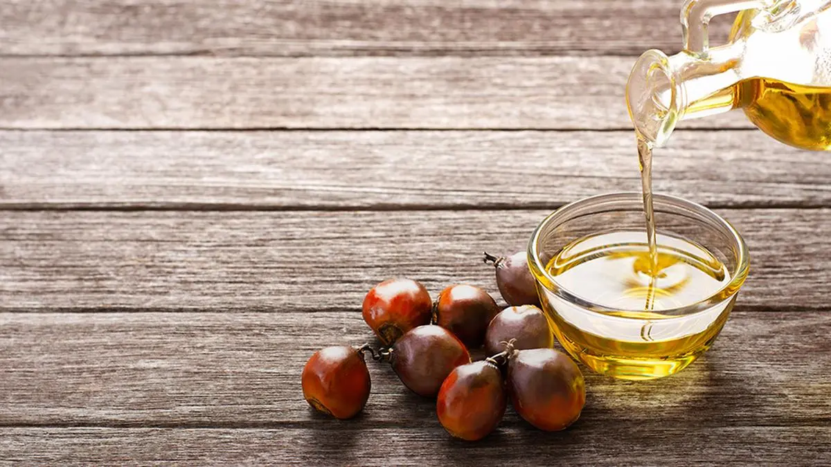 Lessons from Malaysia: Building India’s self-reliant, sustainable palm oil sector