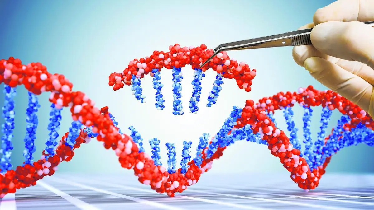 US-based Cibus to provide gene editing tech to Indian rice seed industry
