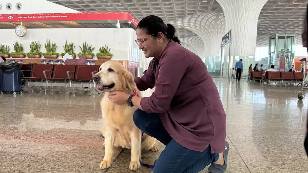 Pawfect buddies: Mumbai Airport revives emotional support dog program at Terminal 2