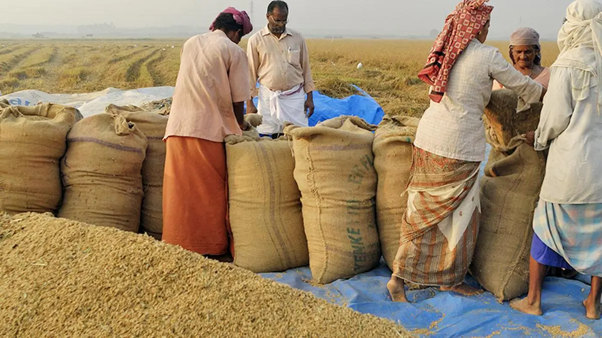 India right in curbing rice exports - The Hindu BusinessLine