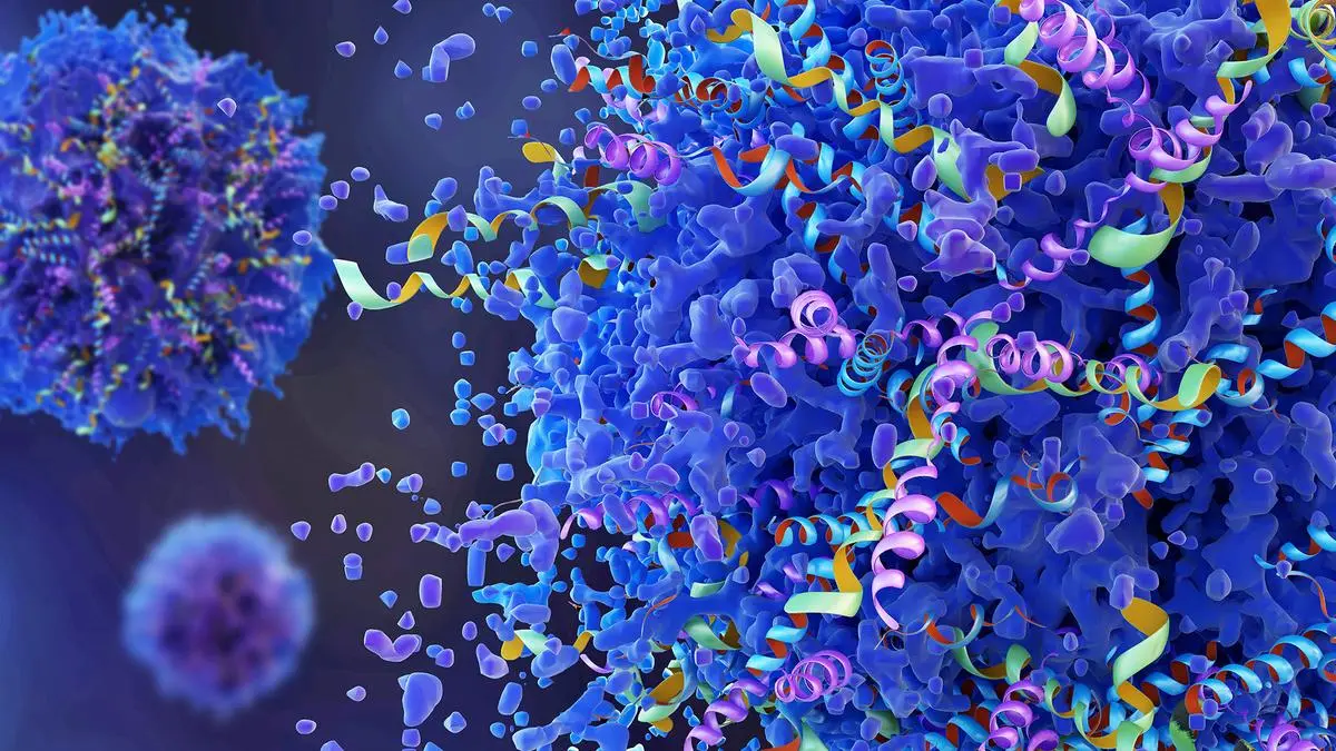 The protein-peptide bonds that heal